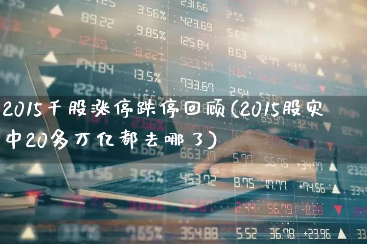 2015千股涨停跌停回顾(2015股灾中20多万亿都去哪了)_https://www.haiwangdasha.com_创业板_第1张