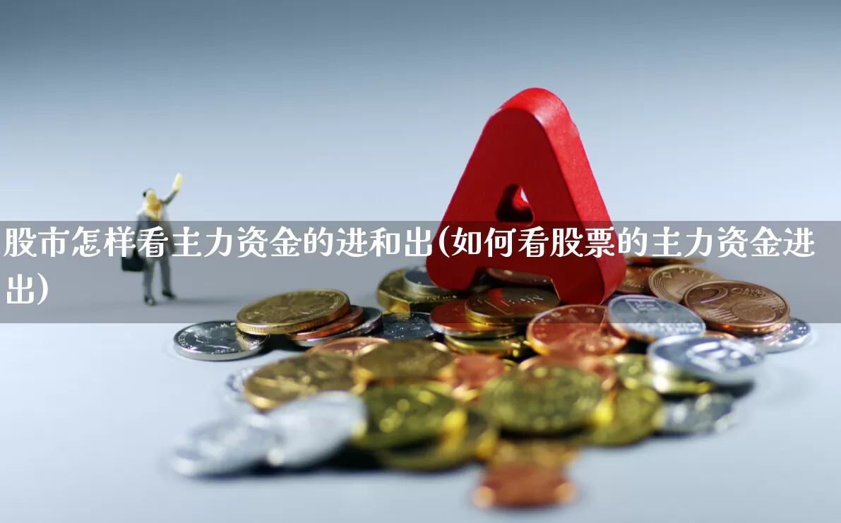股市怎样看主力资金的进和出(如何看股票的主力资金进出)_https://www.haiwangdasha.com_北交所_第1张
