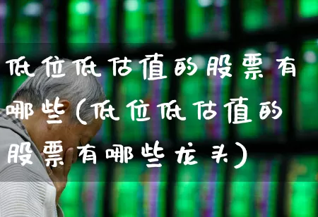 低位低估值的股票有哪些(低位低估值的股票有哪些龙头)_https://www.haiwangdasha.com_科创板_第1张
