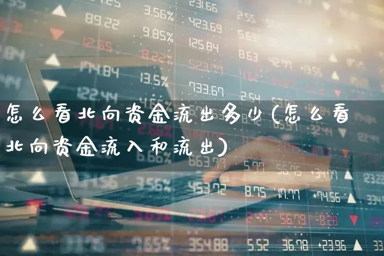 怎么看北向资金流出多少(怎么看北向资金流入和流出)_https://www.haiwangdasha.com_深交所_第1张