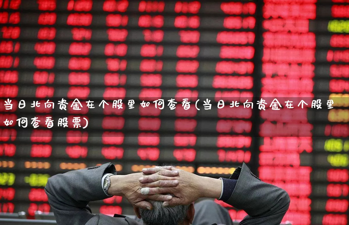 当日北向资金在个股里如何查看(当日北向资金在个股里如何查看股票)_https://www.haiwangdasha.com_创业板_第1张