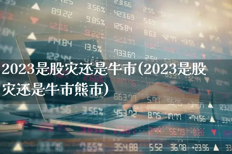 2023是股灾还是牛市(2023是股灾还是牛市熊市)_https://www.haiwangdasha.com_上交所_第1张