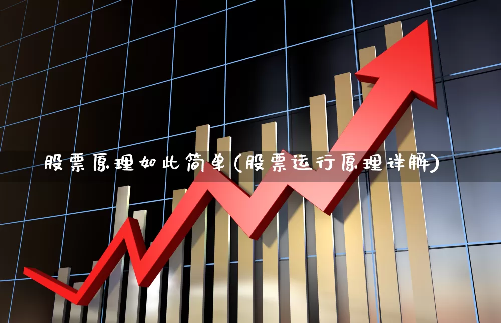 股票原理如此简单(股票运行原理详解)_https://www.haiwangdasha.com_北交所_第1张