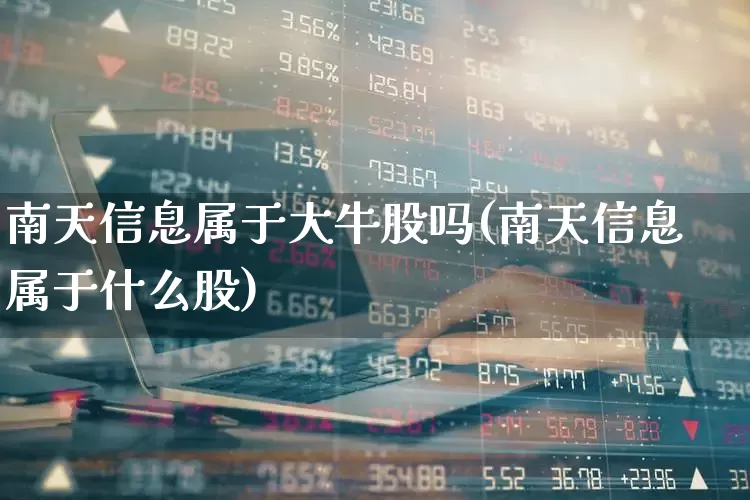 南天信息属于大牛股吗(南天信息属于什么股)_https://www.haiwangdasha.com_上交所_第1张