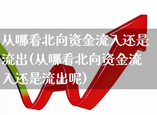 从哪看北向资金流入还是流出(从哪看北向资金流入还是流出呢)_https://www.haiwangdasha.com_科创板_第1张