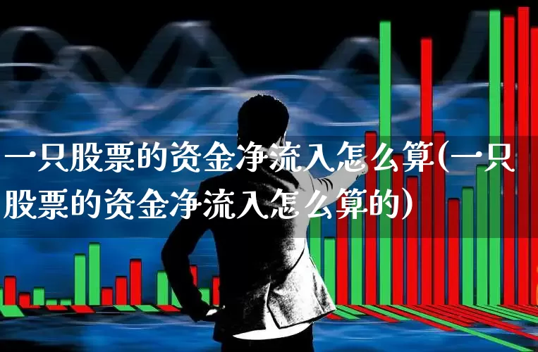 一只股票的资金净流入怎么算(一只股票的资金净流入怎么算的)_https://www.haiwangdasha.com_科创板_第1张