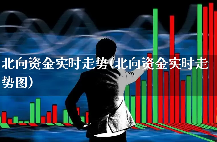 北向资金实时走势(北向资金实时走势图)_https://www.haiwangdasha.com_上交所_第1张