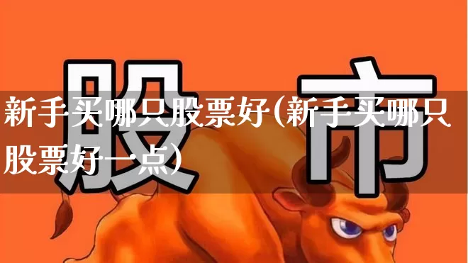 新手买哪只股票好(新手买哪只股票好一点)_https://www.haiwangdasha.com_上交所_第1张