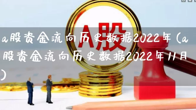 a股资金流向历史数据2022年(a股资金流向历史数据2022年11月)_https://www.haiwangdasha.com_深交所_第1张