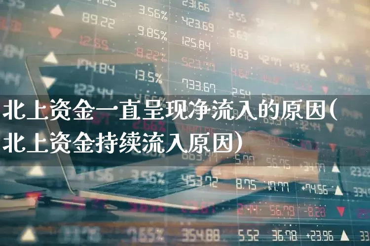 北上资金一直呈现净流入的原因(北上资金持续流入原因)_https://www.haiwangdasha.com_科创板_第1张