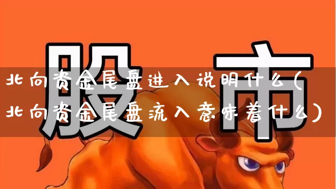 北向资金尾盘进入说明什么(北向资金尾盘流入意味着什么)_https://www.haiwangdasha.com_深交所_第1张