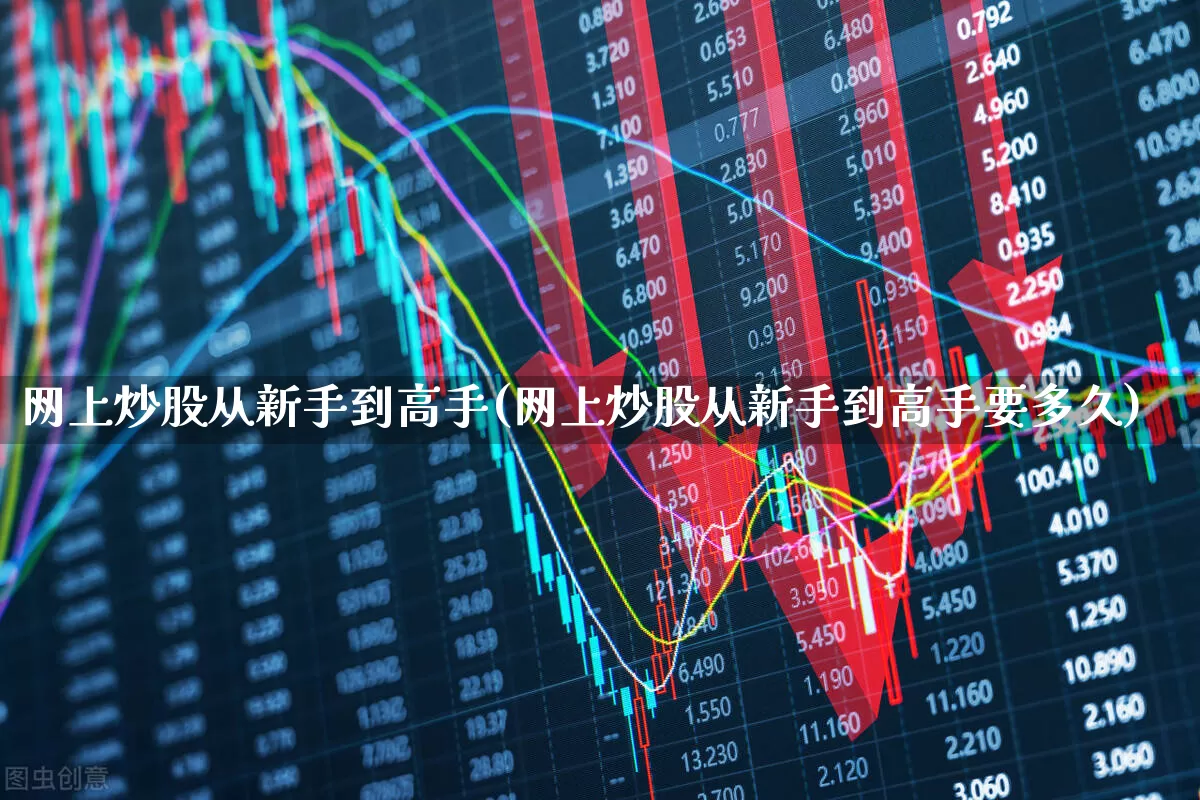网上炒股从新手到高手(网上炒股从新手到高手要多久)_https://www.haiwangdasha.com_上交所_第1张