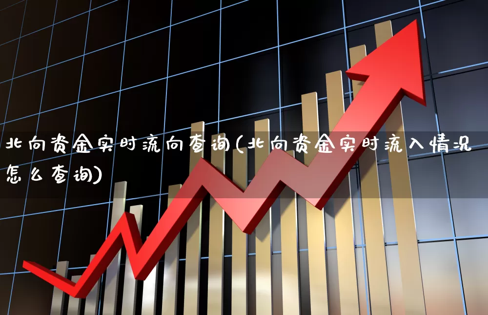 北向资金实时流向查询(北向资金实时流入情况怎么查询)_https://www.haiwangdasha.com_科创板_第1张