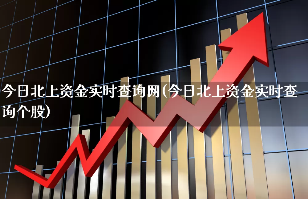 今日北上资金实时查询网(今日北上资金实时查询个股)_https://www.haiwangdasha.com_科创板_第1张