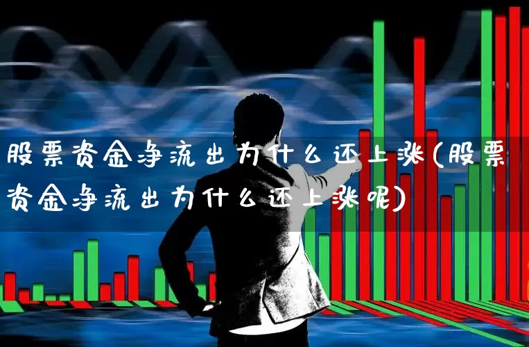 股票资金净流出为什么还上涨(股票资金净流出为什么还上涨呢)_https://www.haiwangdasha.com_深交所_第1张