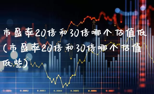市盈率20倍和30倍哪个估值低(市盈率20倍和30倍哪个估值低些)_https://www.haiwangdasha.com_北交所_第1张