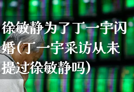 徐敏静为了丁一宇闪婚(丁一宇采访从未提过徐敏静吗)_https://www.haiwangdasha.com_上交所_第1张