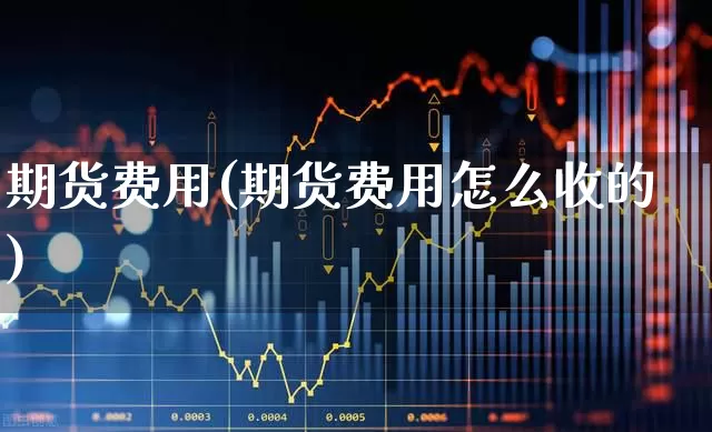 期货费用(期货费用怎么收的)_https://www.haiwangdasha.com_郑商所_第1张