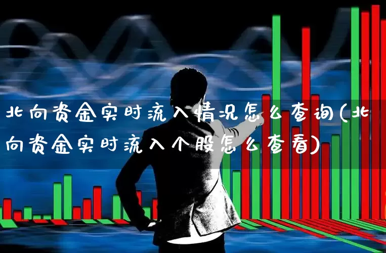 北向资金实时流入情况怎么查询(北向资金实时流入个股怎么查看)_https://www.haiwangdasha.com_深交所_第1张