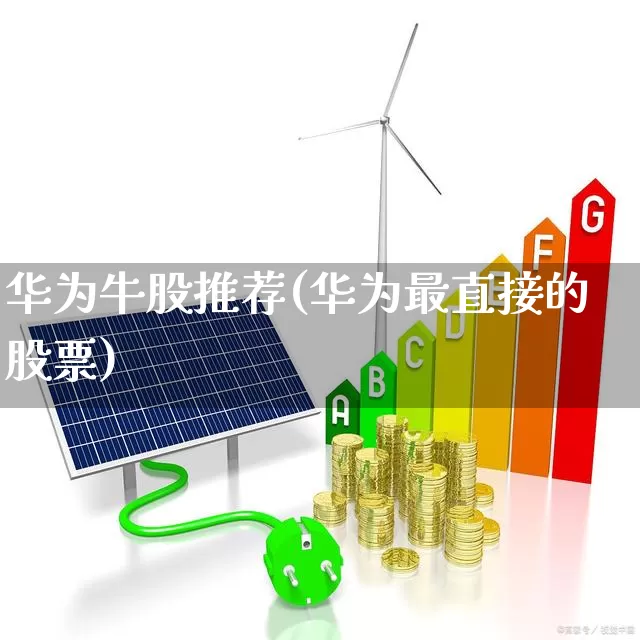 华为牛股推荐(华为最直接的股票)_https://www.haiwangdasha.com_上交所_第1张