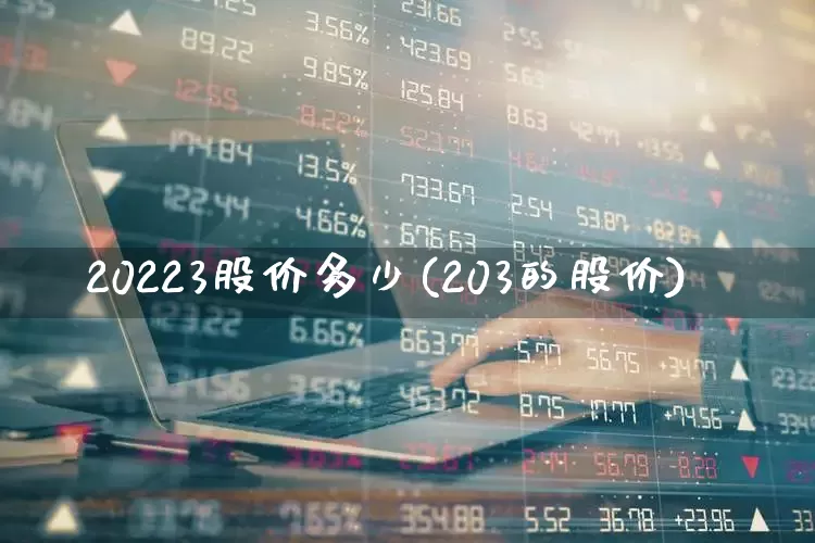 20223股价多少(203的股价)_https://www.haiwangdasha.com_上交所_第1张