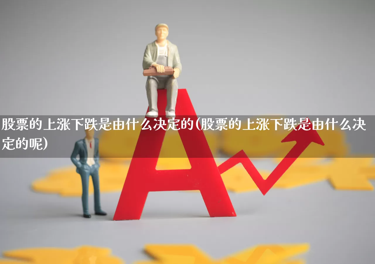 股票的上涨下跌是由什么决定的(股票的上涨下跌是由什么决定的呢)_https://www.haiwangdasha.com_上交所_第1张
