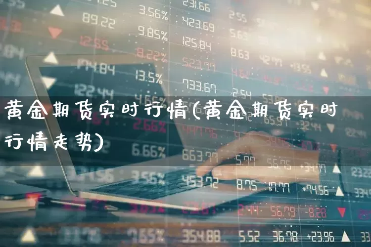 黄金期货实时行情(黄金期货实时行情走势)_https://www.haiwangdasha.com_上期能源_第1张