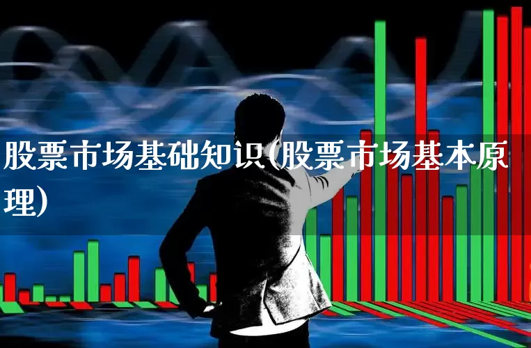 股票市场基础知识(股票市场基本原理)_https://www.haiwangdasha.com_科创板_第1张