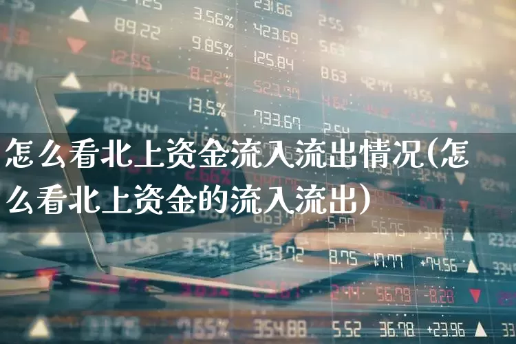 怎么看北上资金流入流出情况(怎么看北上资金的流入流出)_https://www.haiwangdasha.com_上交所_第1张