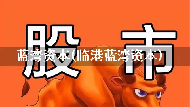 蓝湾资本(临港蓝湾资本)_https://www.haiwangdasha.com_深交所_第1张