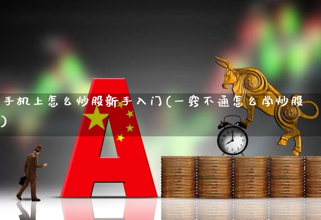 手机上怎么炒股新手入门(一窍不通怎么学炒股)_https://www.haiwangdasha.com_上交所_第1张