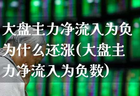 大盘主力净流入为负为什么还涨(大盘主力净流入为负数)_https://www.haiwangdasha.com_上交所_第1张