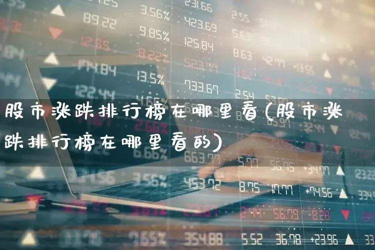 股市涨跌排行榜在哪里看(股市涨跌排行榜在哪里看的)_https://www.haiwangdasha.com_科创板_第1张