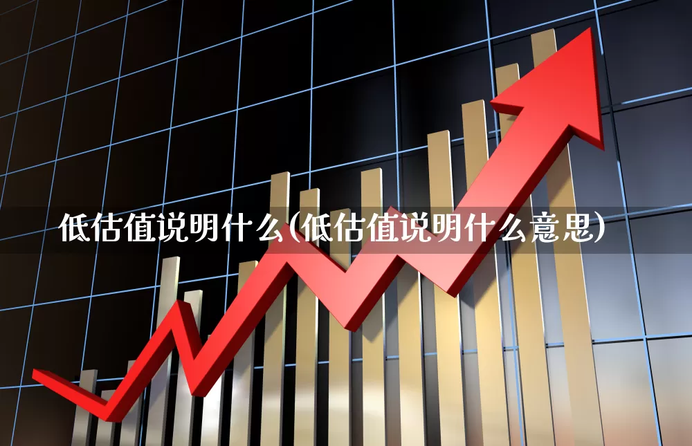 低估值说明什么(低估值说明什么意思)_https://www.haiwangdasha.com_上交所_第1张
