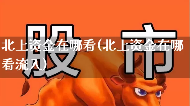 北上资金在哪看(北上资金在哪看流入)_https://www.haiwangdasha.com_北交所_第1张