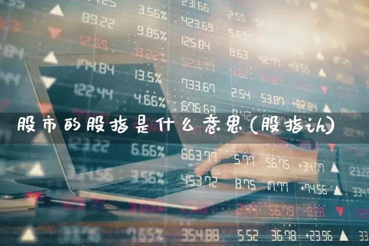 股市的股指是什么意思(股指ih)_https://www.haiwangdasha.com_中金所_第1张