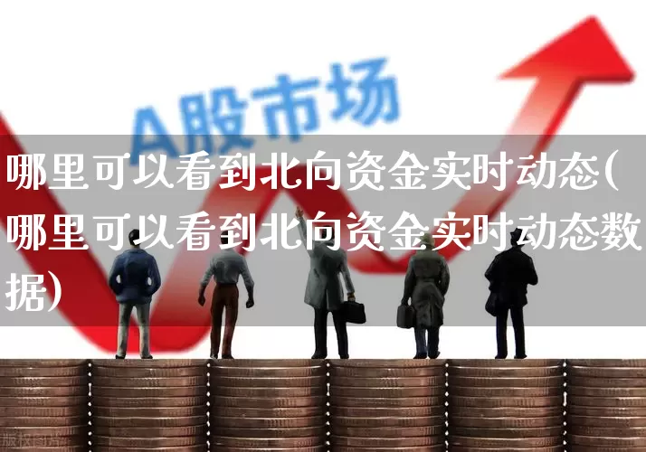 哪里可以看到北向资金实时动态(哪里可以看到北向资金实时动态数据)_https://www.haiwangdasha.com_创业板_第1张
