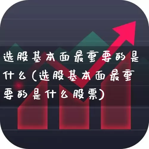 选股基本面最重要的是什么(选股基本面最重要的是什么股票)_https://www.haiwangdasha.com_北交所_第1张