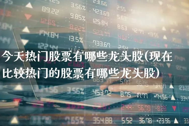 今天热门股票有哪些龙头股(现在比较热门的股票有哪些龙头股)_https://www.haiwangdasha.com_北交所_第1张