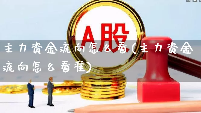 主力资金流向怎么看(主力资金流向怎么看准)_https://www.haiwangdasha.com_北交所_第1张