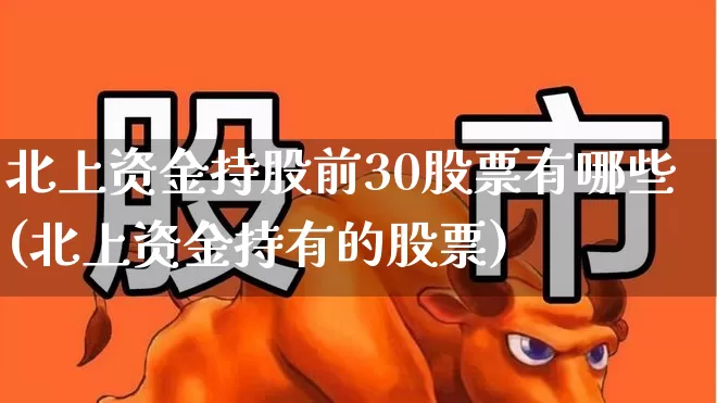 北上资金持股前30股票有哪些(北上资金持有的股票)_https://www.haiwangdasha.com_深交所_第1张