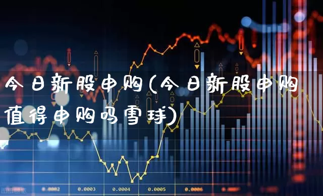 今日新股申购(今日新股申购值得申购吗雪球)_https://www.haiwangdasha.com_深交所_第1张