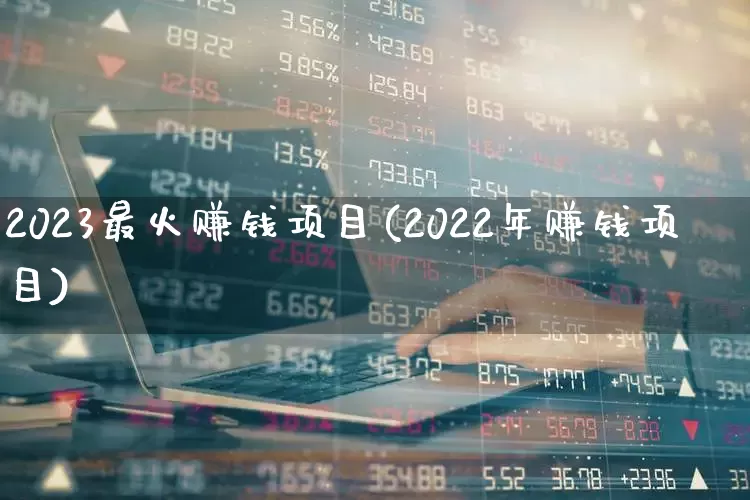2023最火赚钱项目(2022年赚钱项目)_https://www.haiwangdasha.com_科创板_第1张
