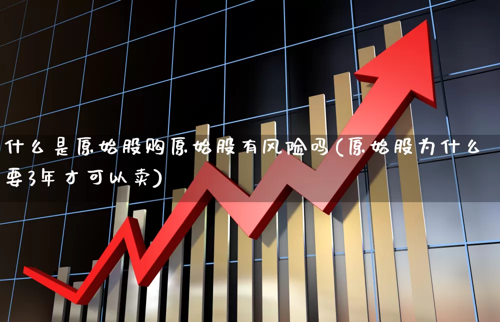 什么是原始股购原始股有风险吗(原始股为什么要3年才可以卖)_https://www.haiwangdasha.com_创业板_第1张