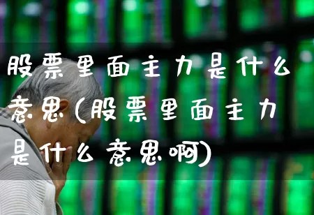 股票里面主力是什么意思(股票里面主力是什么意思啊)_https://www.haiwangdasha.com_上交所_第1张