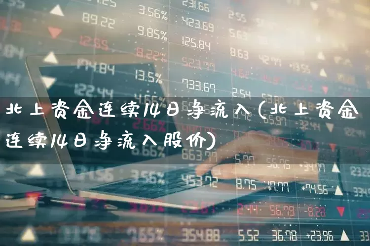北上资金连续14日净流入(北上资金连续14日净流入股价)_https://www.haiwangdasha.com_北交所_第1张