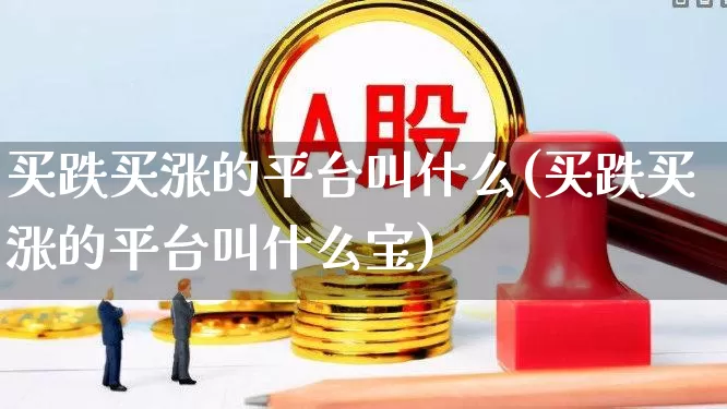 买跌买涨的平台叫什么(买跌买涨的平台叫什么宝)_https://www.haiwangdasha.com_科创板_第1张