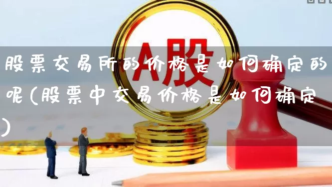 股票交易所的价格是如何确定的呢(股票中交易价格是如何确定)_https://www.haiwangdasha.com_上交所_第1张
