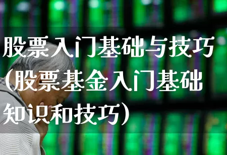 股票入门基础与技巧(股票基金入门基础知识和技巧)_https://www.haiwangdasha.com_创业板_第1张