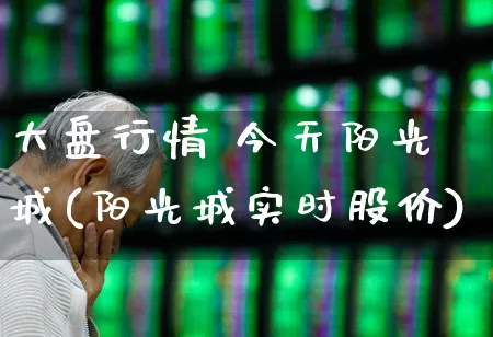 大盘行情 今天阳光城(阳光城实时股价)_https://www.haiwangdasha.com_上期能源_第1张